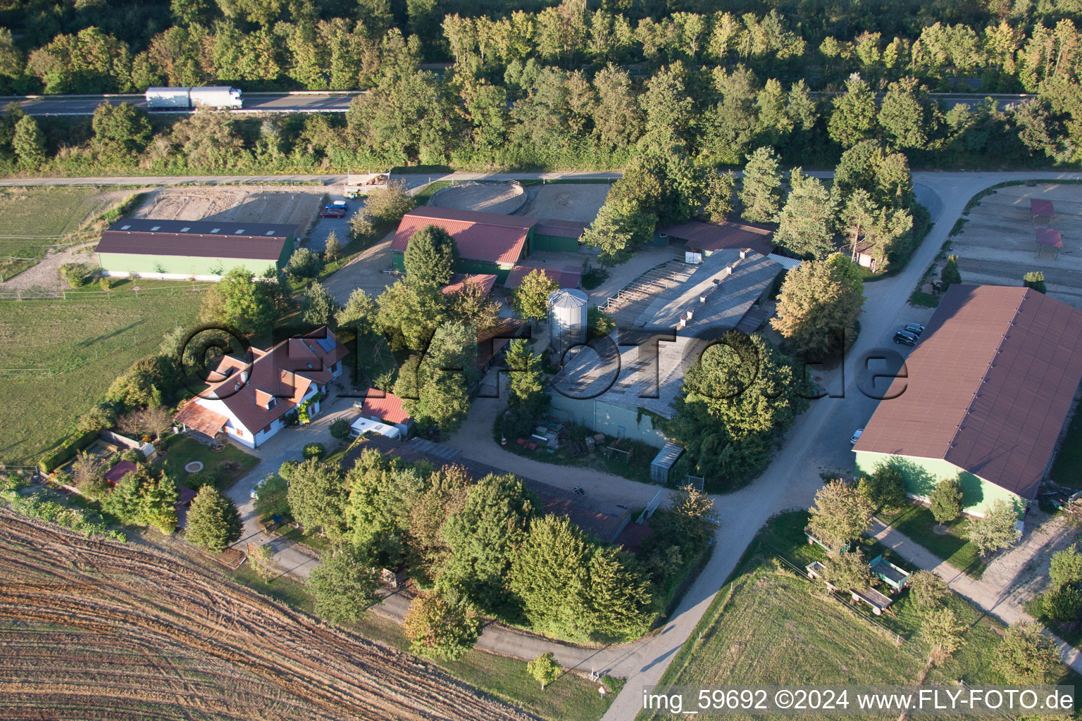 Horse boarding Brecht in the district Huttenheim in Philippsburg in the state Baden-Wuerttemberg, Germany from above