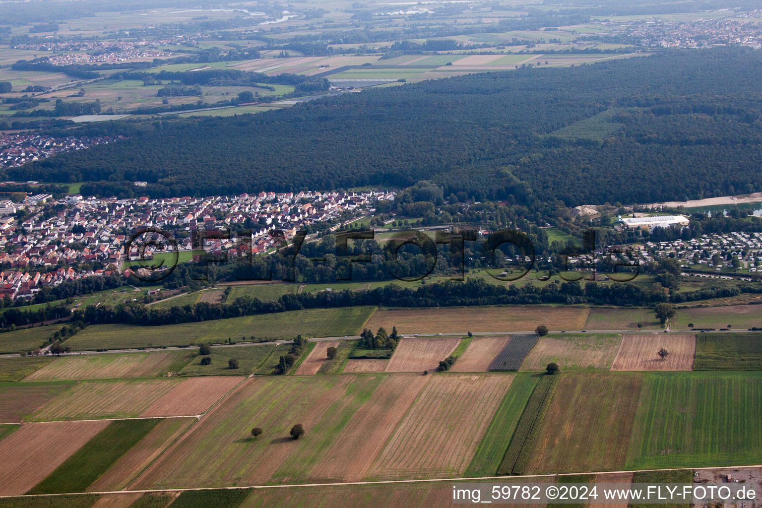 Mhou ostrich farm at the Moby Dick leisure centre in Rülzheim in the state Rhineland-Palatinate, Germany