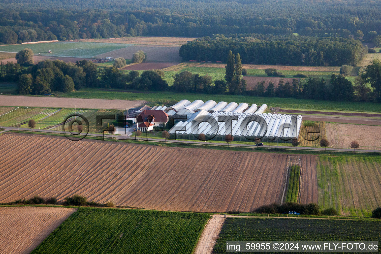 Bird's eye view of Herxheimweyher in the state Rhineland-Palatinate, Germany