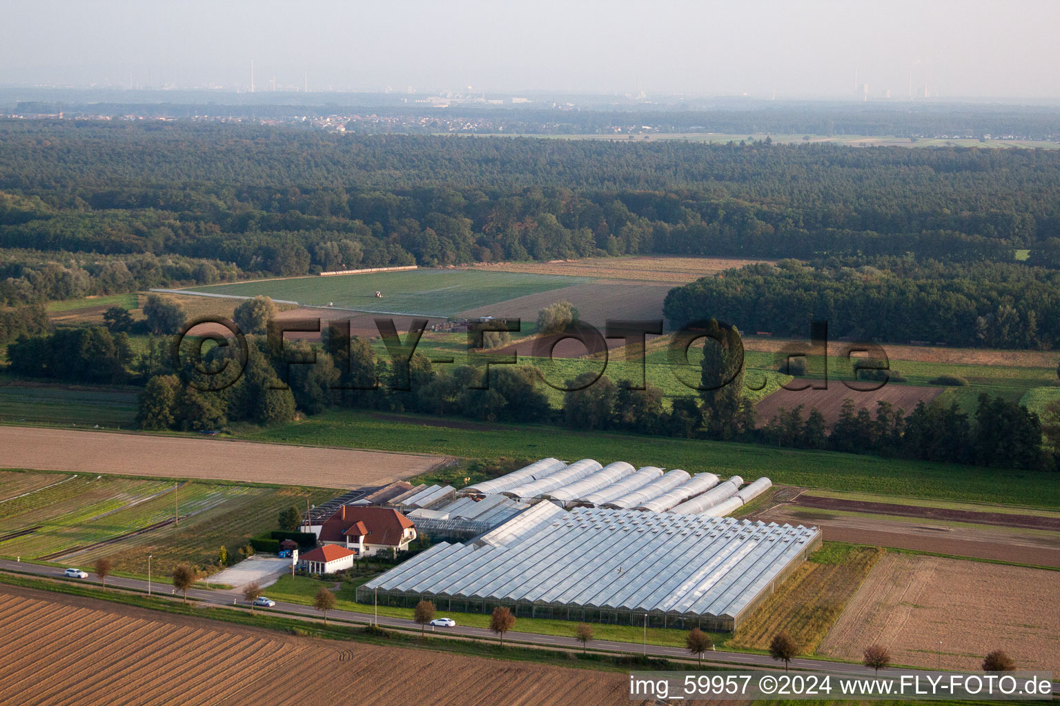 Organic gardening between Herxheimweyher and Herxheim in Herxheimweyher in the state Rhineland-Palatinate, Germany