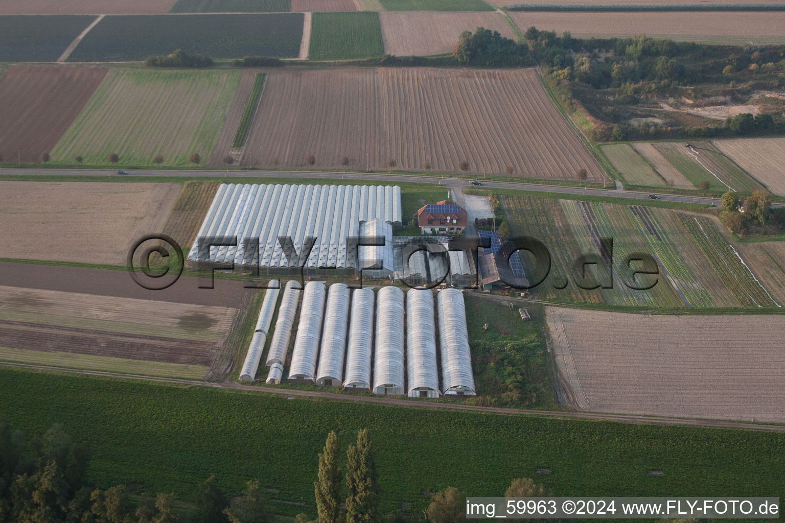 Aerial view of Organic gardening between Herxheimweyher and Herxheim in Herxheimweyher in the state Rhineland-Palatinate, Germany