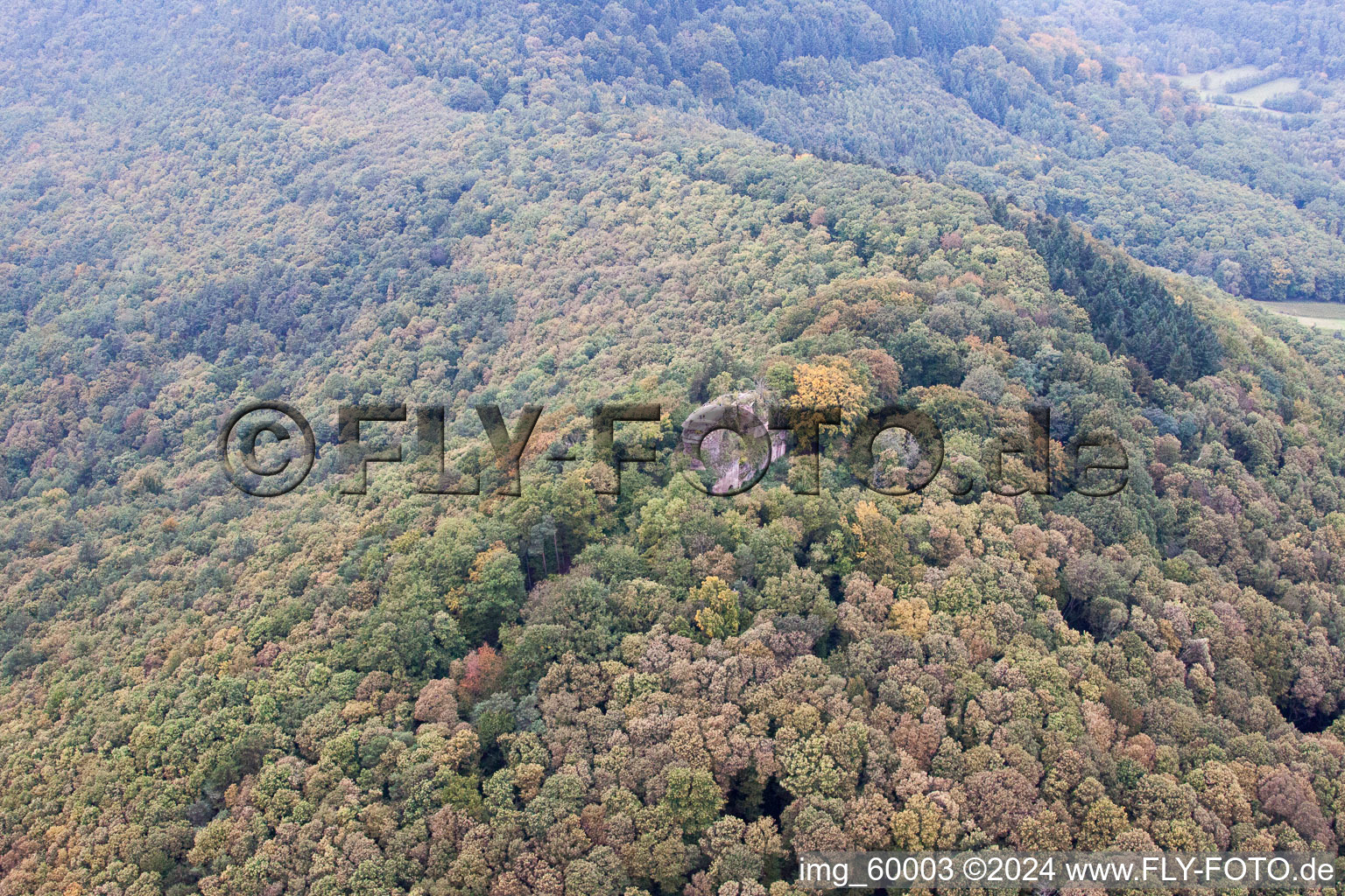 Aerial view of Neukastell ruins in Ranschbach in the state Rhineland-Palatinate, Germany