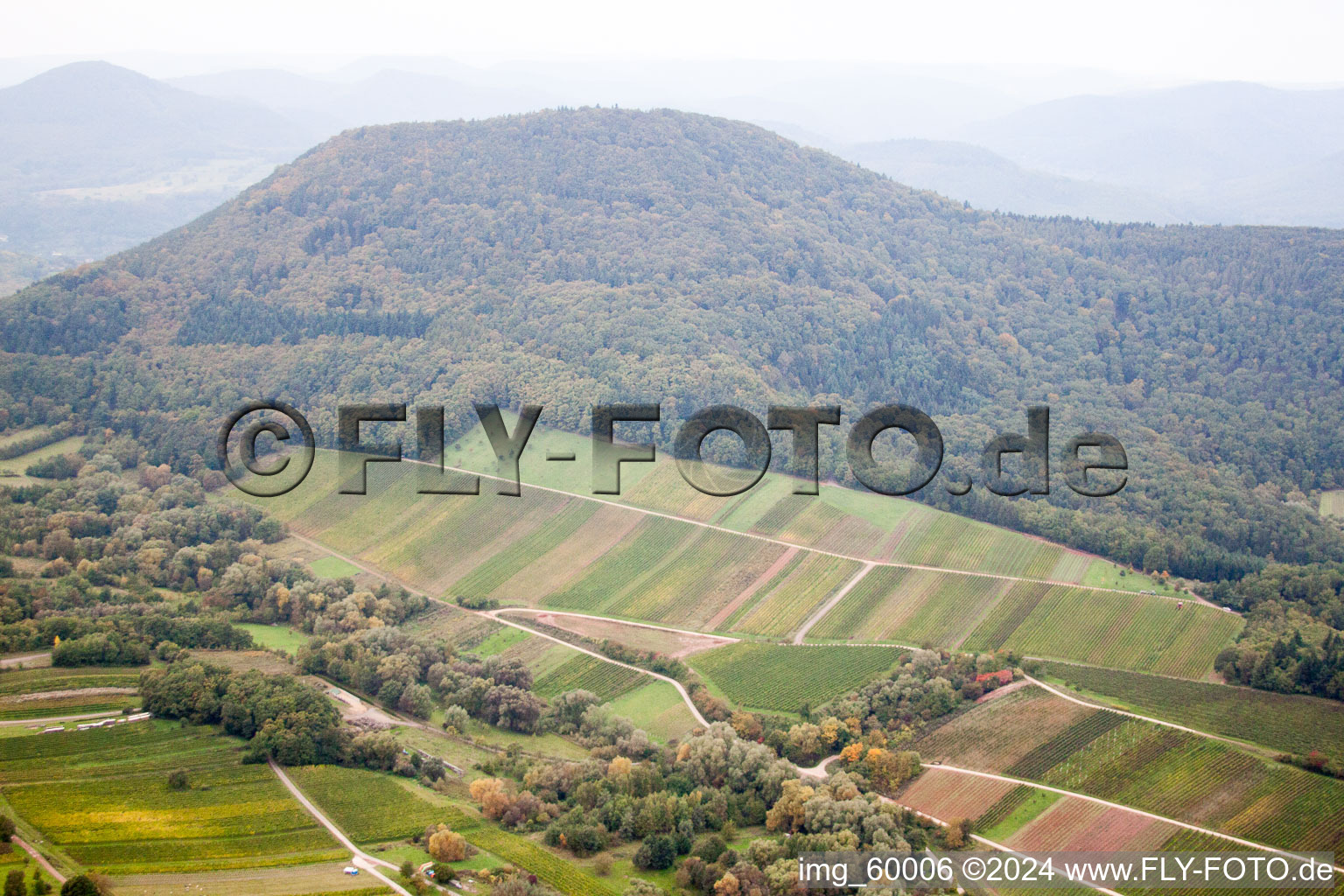 Aerial view of Keschdebusch in Ranschbach in the state Rhineland-Palatinate, Germany