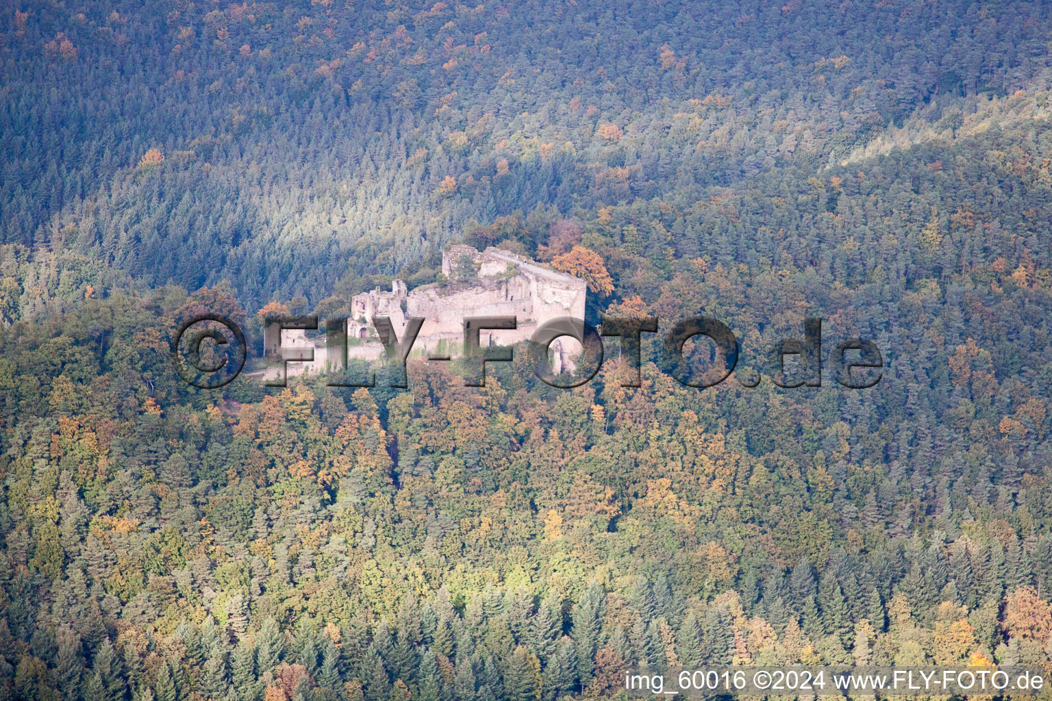 Aerial view of Ruins of Neuscharfeneck in Dernbach in the state Rhineland-Palatinate, Germany