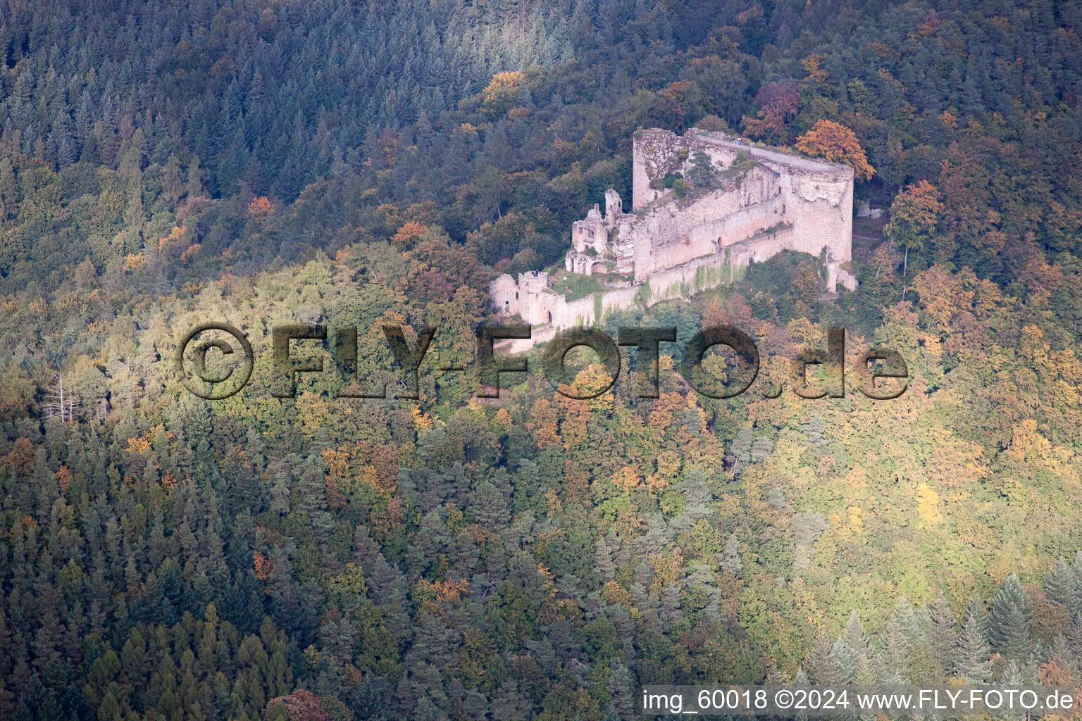 Aerial photograpy of Ruins of Neuscharfeneck in Dernbach in the state Rhineland-Palatinate, Germany