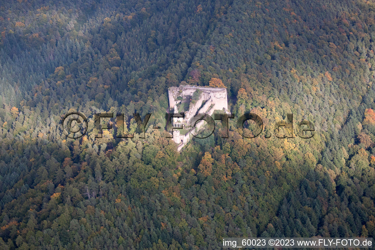 Neuscharfeneck ruins in Dernbach in the state Rhineland-Palatinate, Germany from above