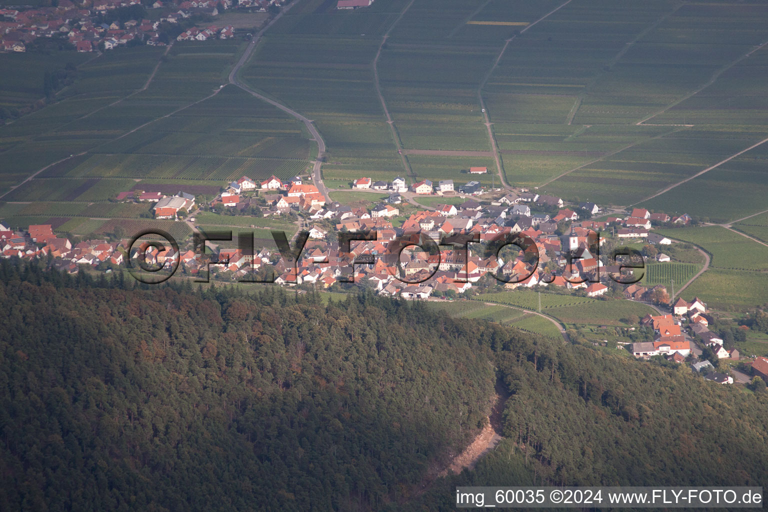 Aerial view of From the west in Weyher in der Pfalz in the state Rhineland-Palatinate, Germany