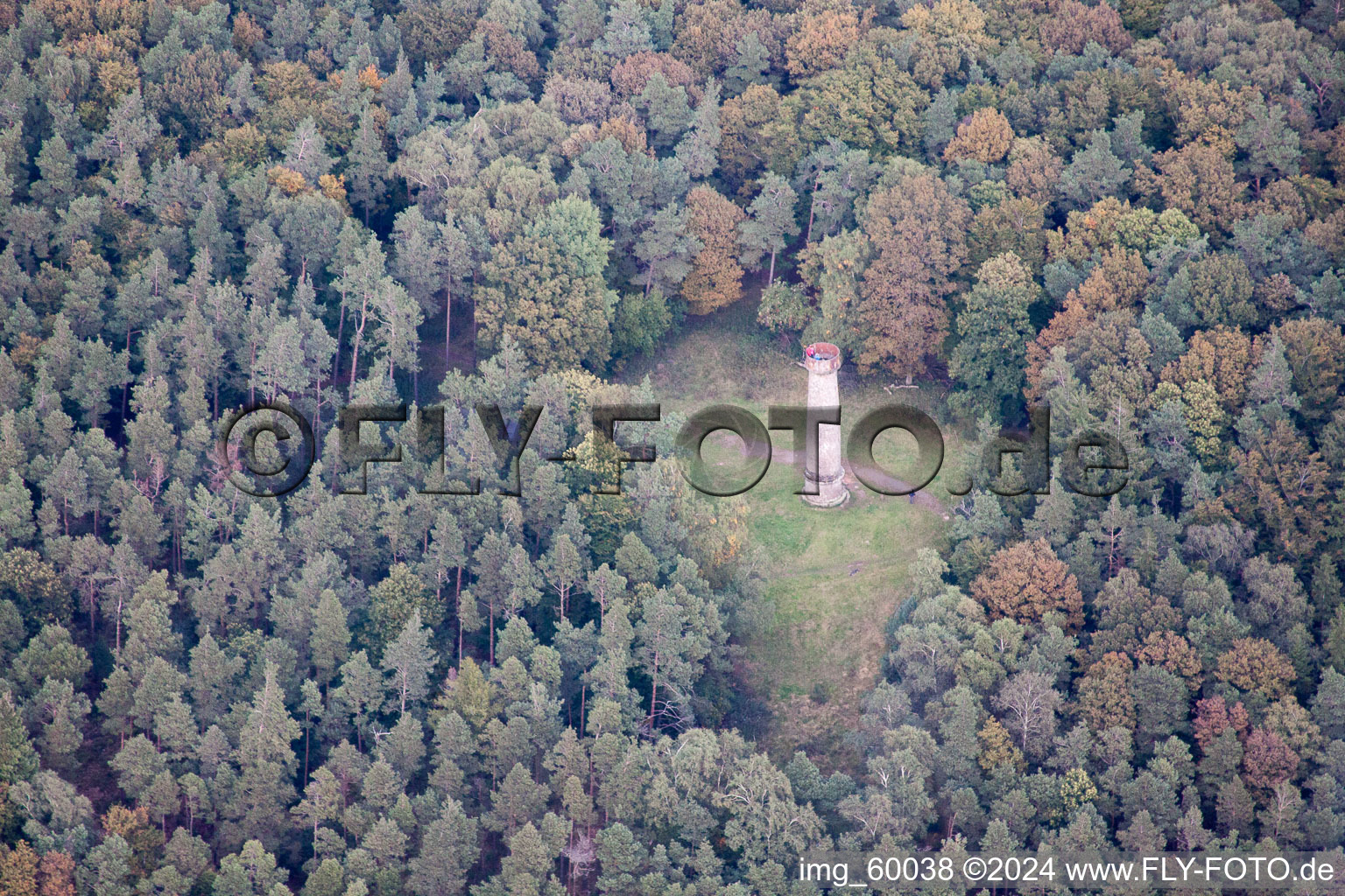 Ludwig Tower in Weyher in der Pfalz in the state Rhineland-Palatinate, Germany from above