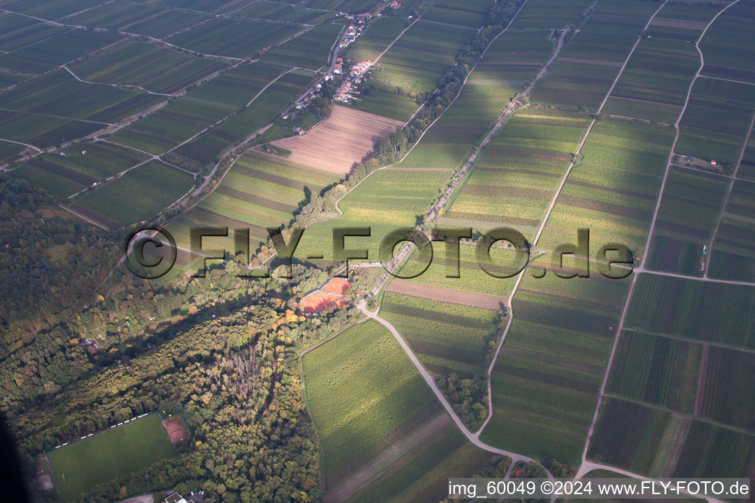 Drone image of Weyher in der Pfalz in the state Rhineland-Palatinate, Germany