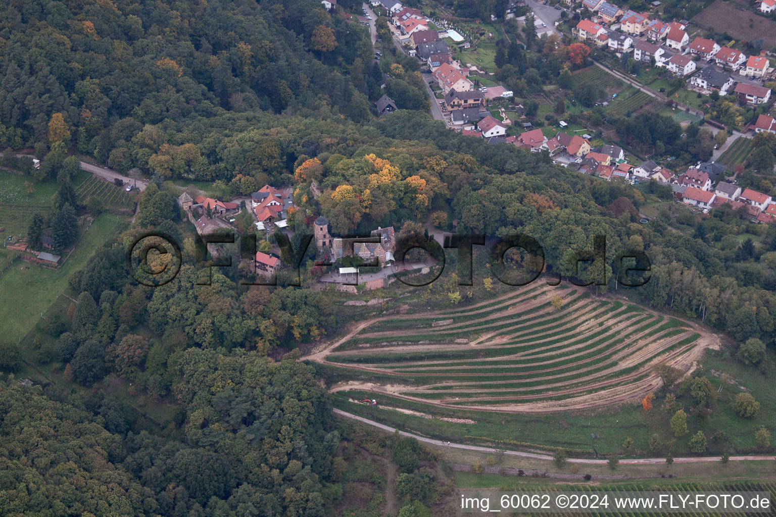 Aerial photograpy of Sankt Martin in the state Rhineland-Palatinate, Germany