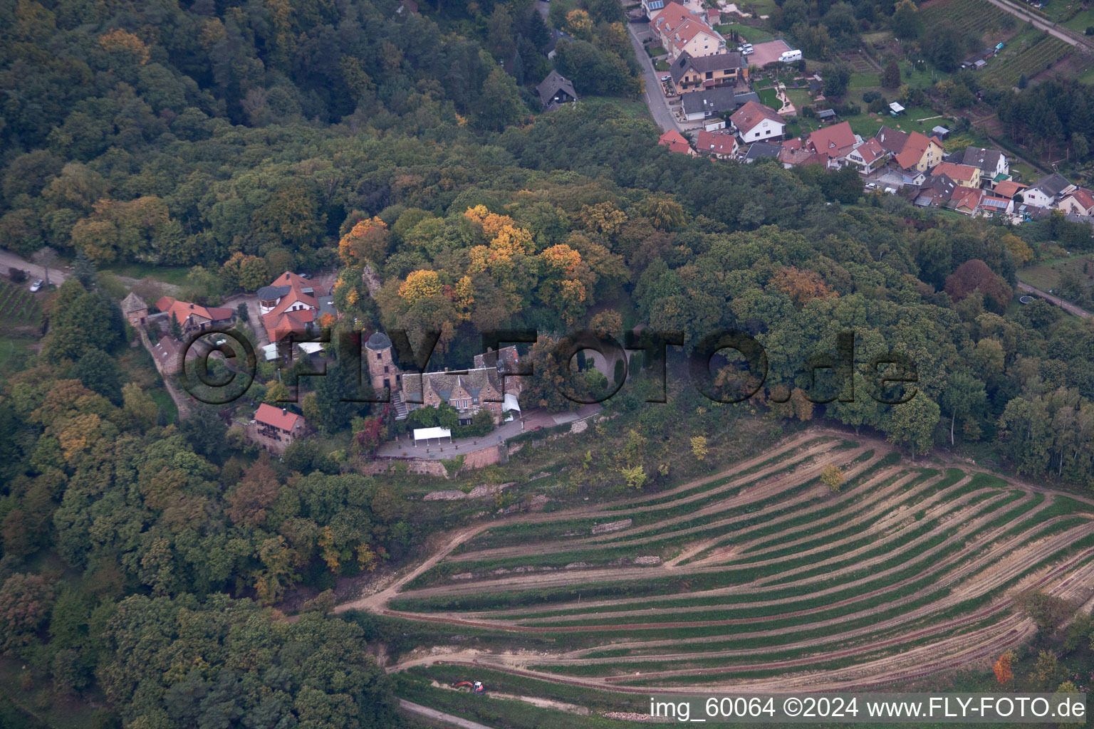 Oblique view of Sankt Martin in the state Rhineland-Palatinate, Germany