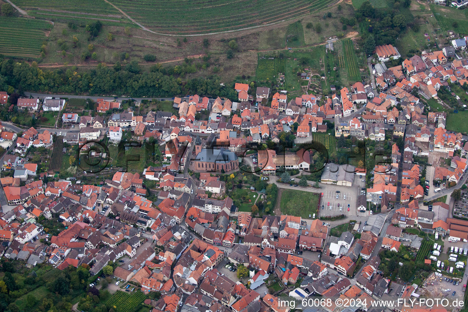 Sankt Martin in the state Rhineland-Palatinate, Germany from above