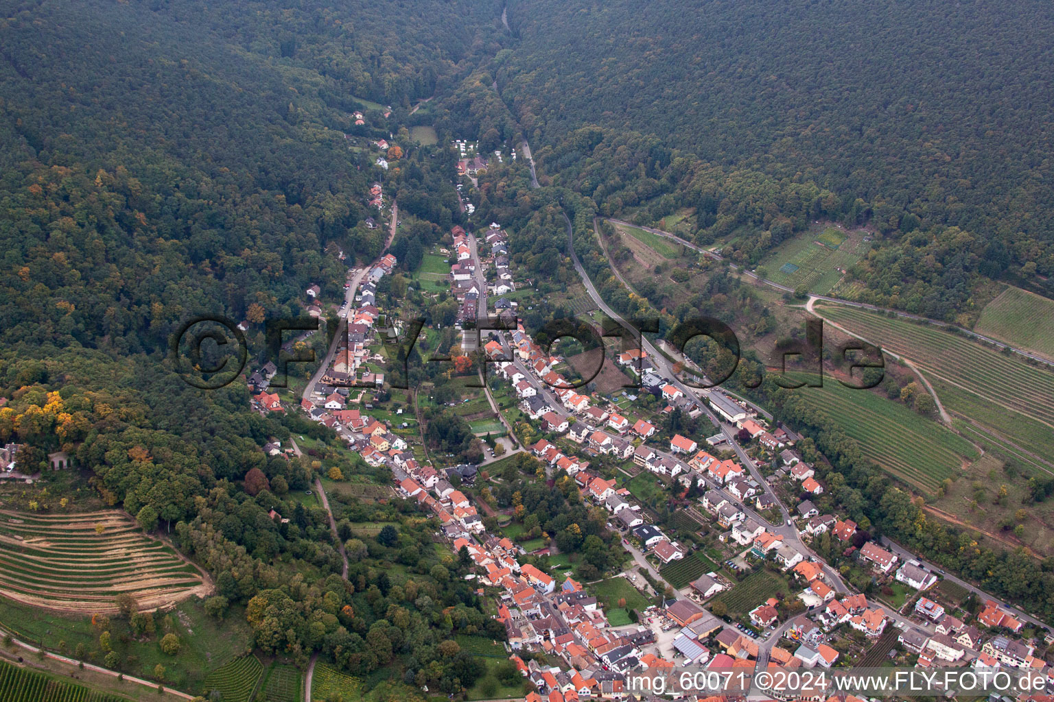 Sankt Martin in the state Rhineland-Palatinate, Germany viewn from the air