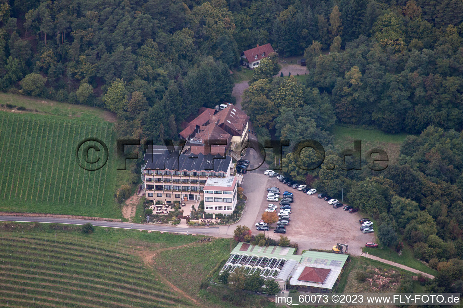 Aerial view of Hotel Haus am Weinberg in Sankt Martin in the state Rhineland-Palatinate, Germany