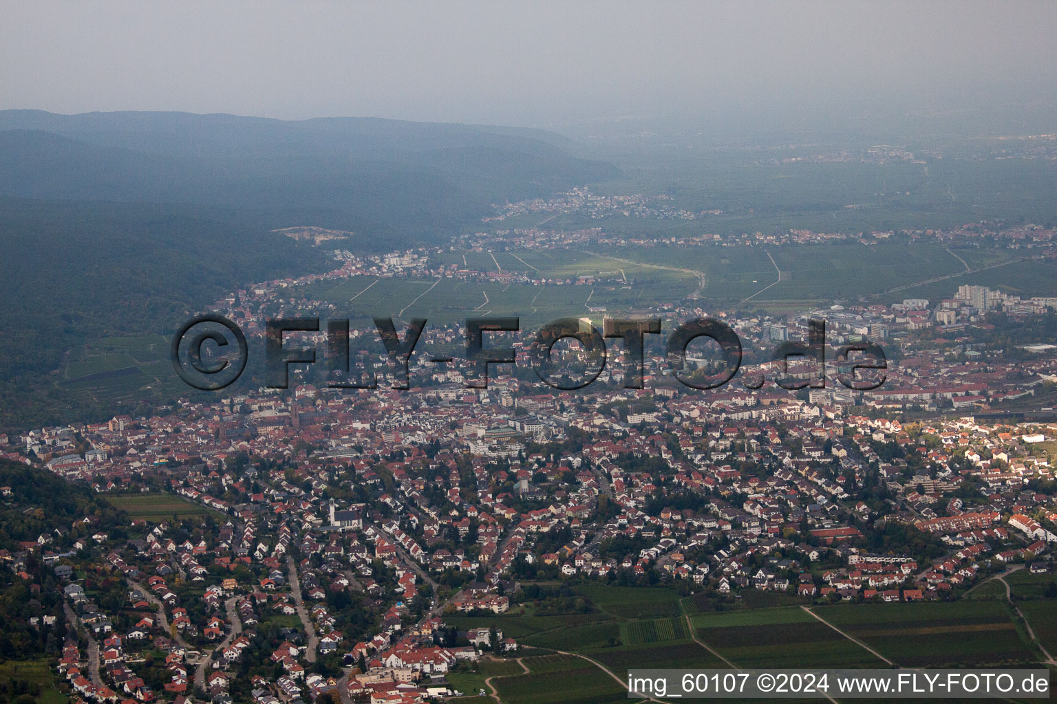 From the south in Neustadt an der Weinstraße in the state Rhineland-Palatinate, Germany from above