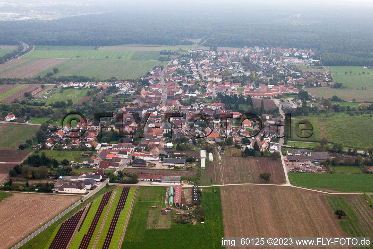 Bird's eye view of Lingenfeld in the state Rhineland-Palatinate, Germany