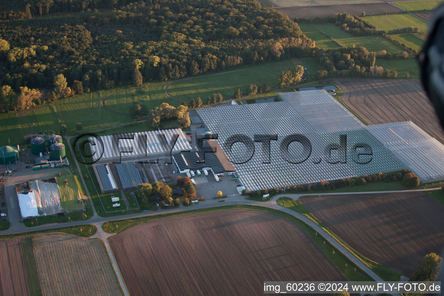 Aerial photograpy of Lustadt in the state Rhineland-Palatinate, Germany