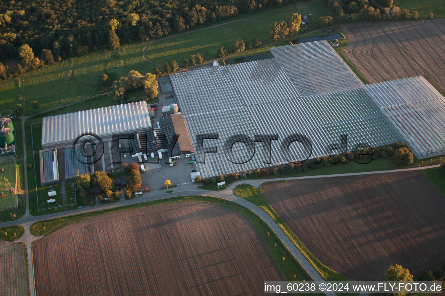 Lustadt in the state Rhineland-Palatinate, Germany from above