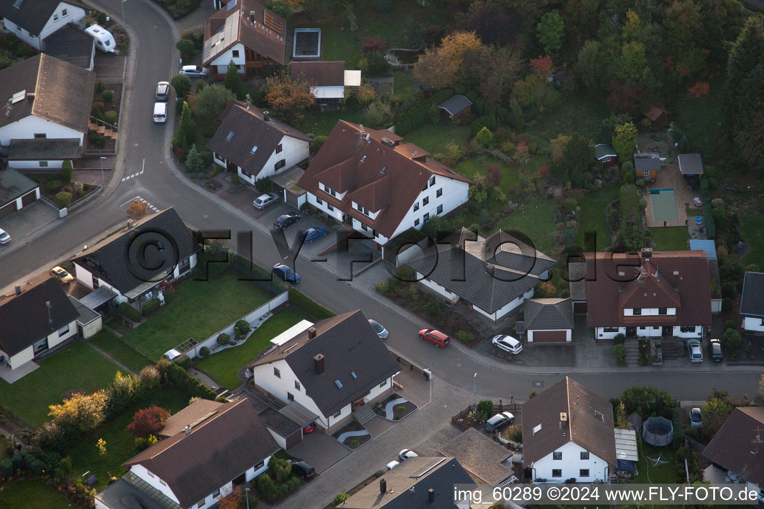 Rülzheim in the state Rhineland-Palatinate, Germany from a drone