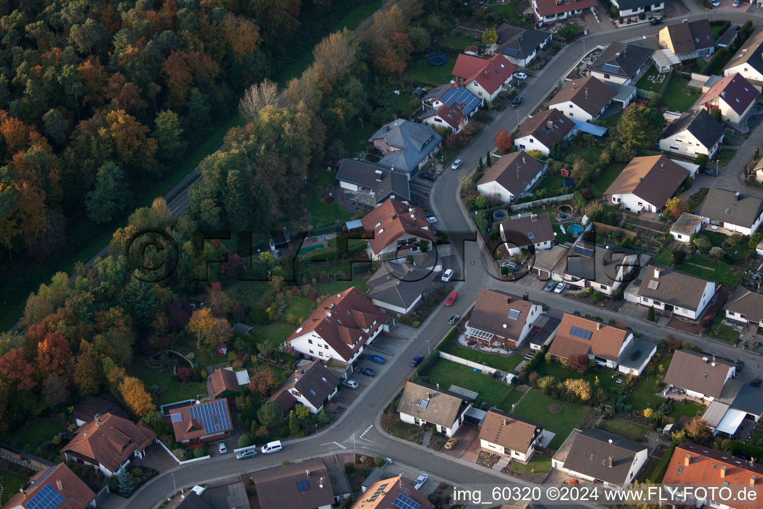 Rülzheim in the state Rhineland-Palatinate, Germany from a drone