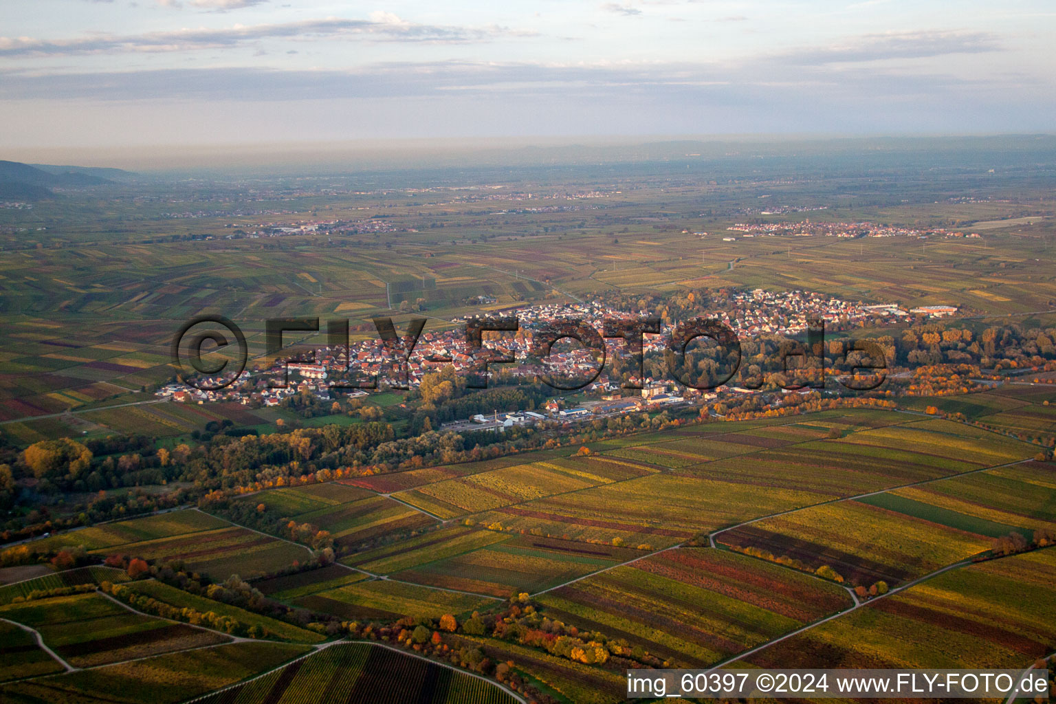 Bird's eye view of Siebeldingen in the state Rhineland-Palatinate, Germany