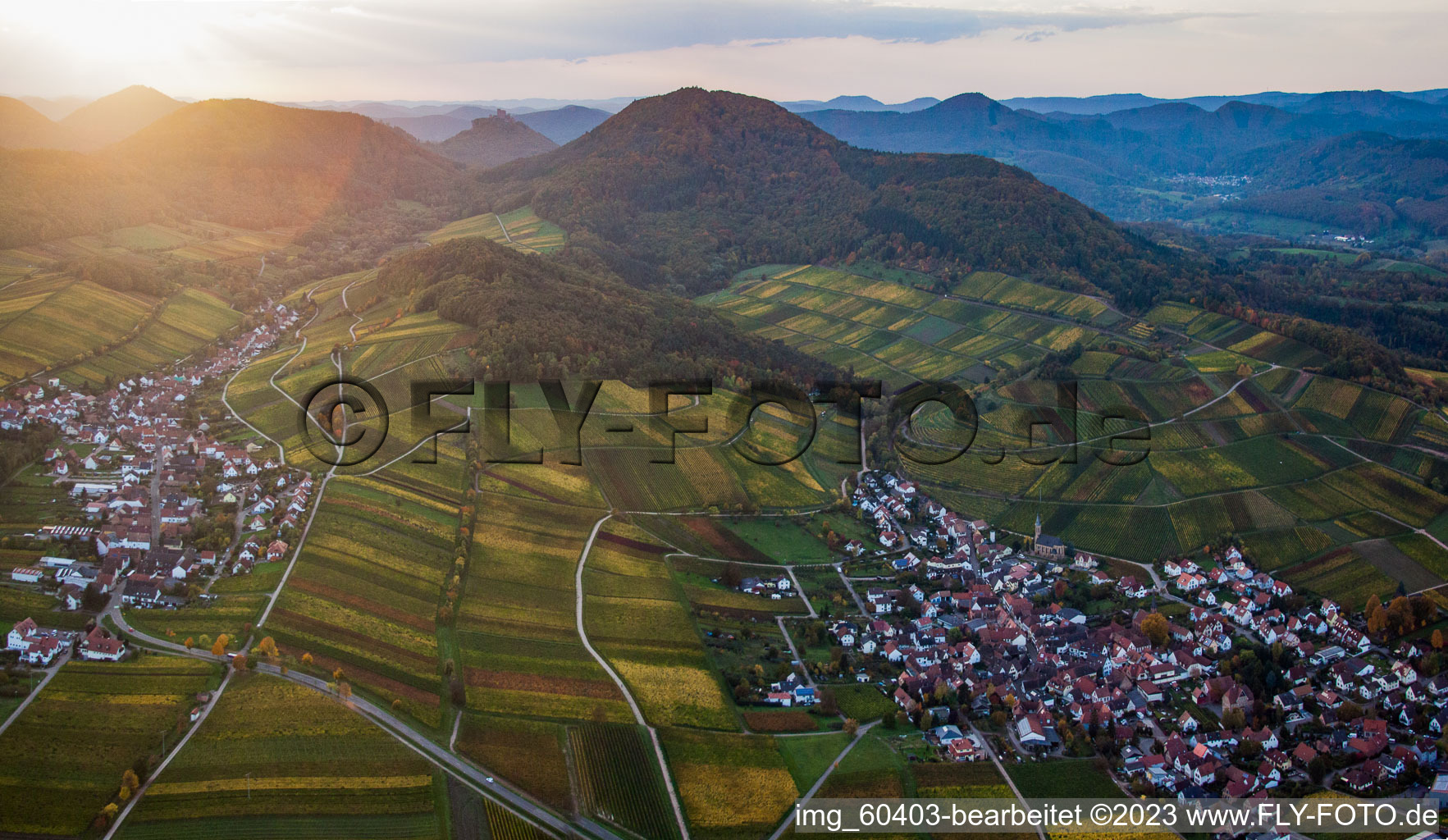Aerial photograpy of Chestnut bush in Birkweiler in the state Rhineland-Palatinate, Germany