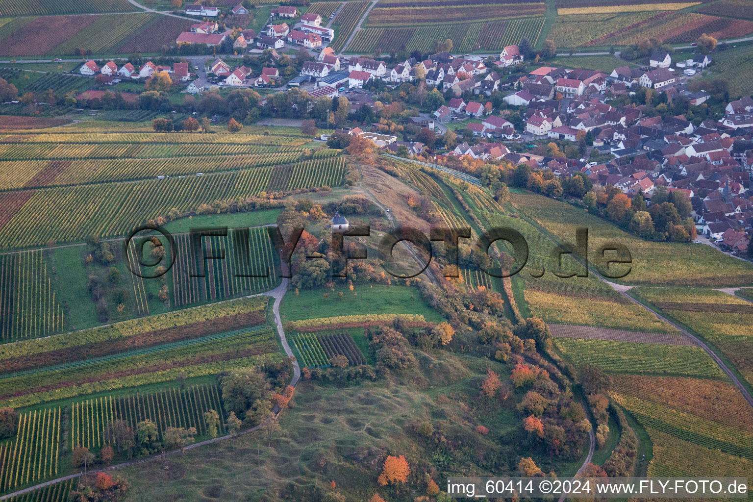 Fields of a vineyard scenery of the winegrowers areas in the district of Ilbesheim with the Catholic chapel "Kleine Kalmit" in Landau in the Palatinate in the federal state Rhineland-Palatinate