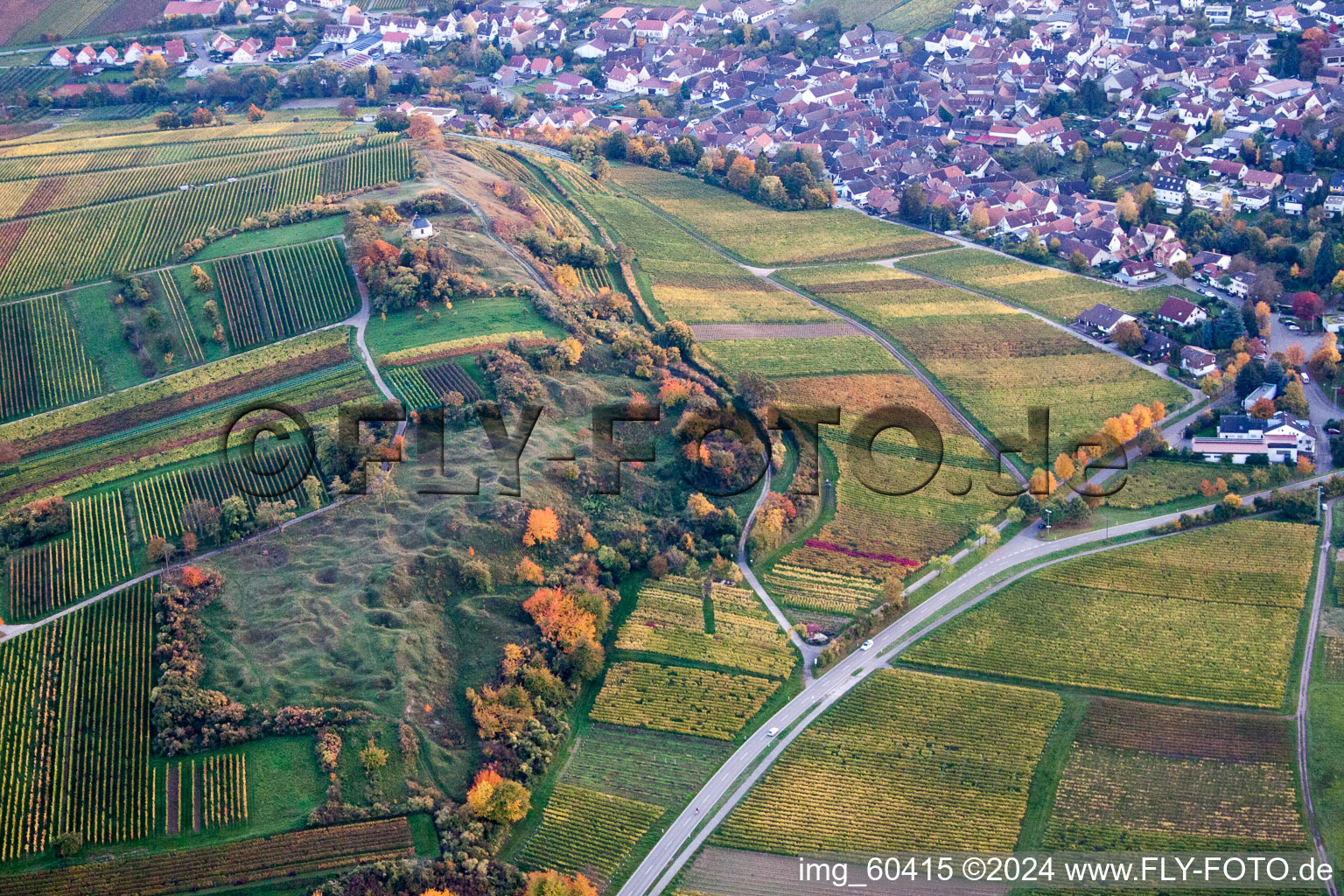 Oblique view of Small Kalmit in Ilbesheim bei Landau in der Pfalz in the state Rhineland-Palatinate, Germany