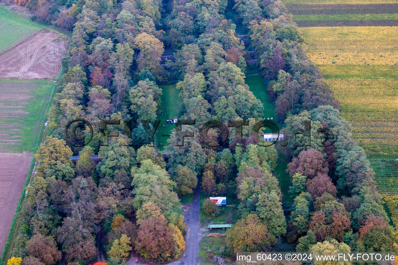 Aerial view of Insheim in the state Rhineland-Palatinate, Germany