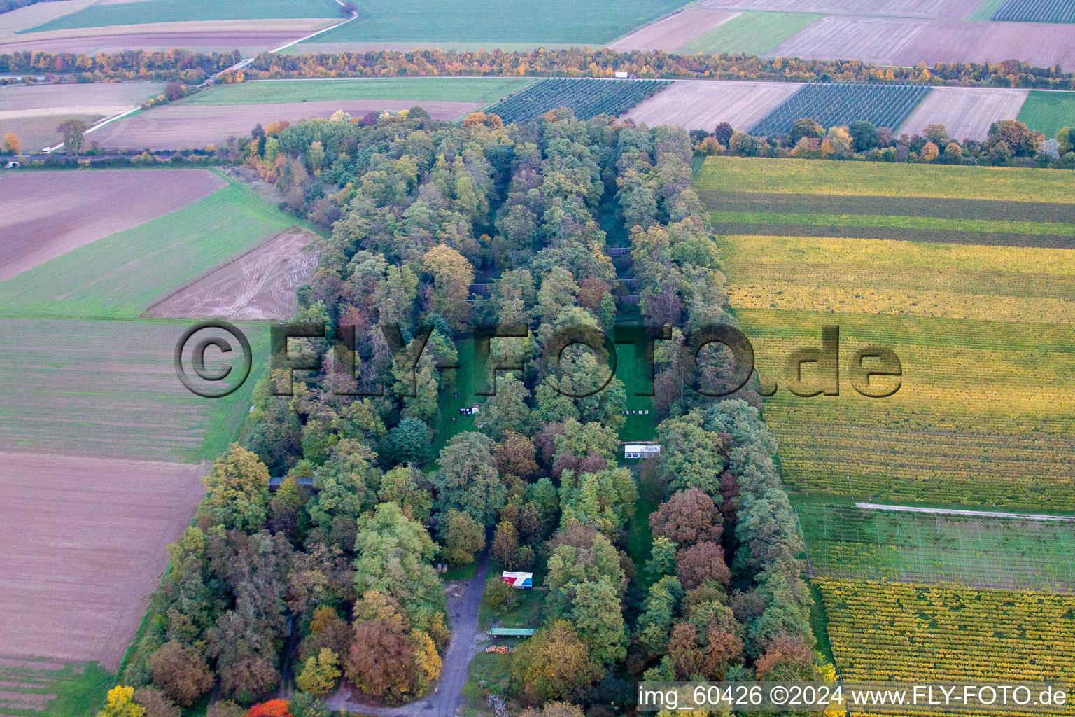 Oblique view of Insheim in the state Rhineland-Palatinate, Germany