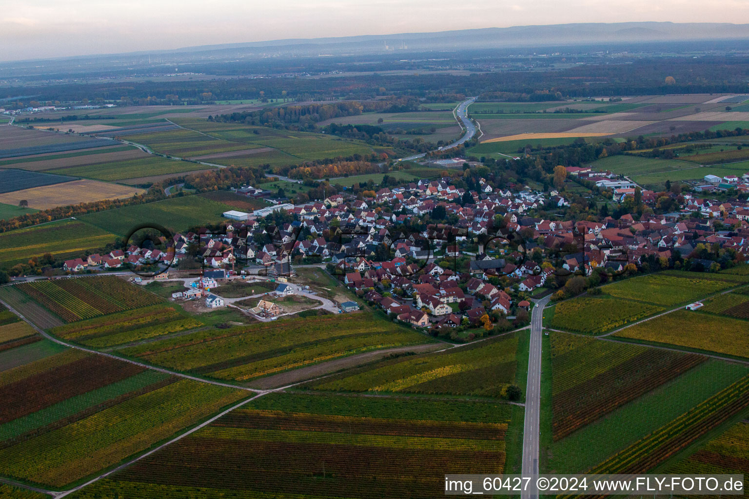 Insheim in the state Rhineland-Palatinate, Germany from above