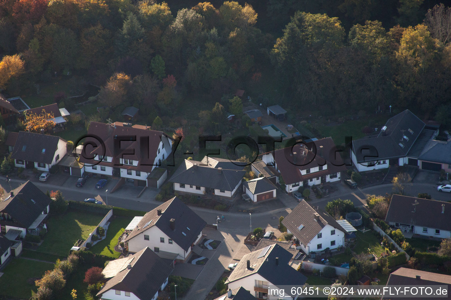 S in Rülzheim in the state Rhineland-Palatinate, Germany seen from above