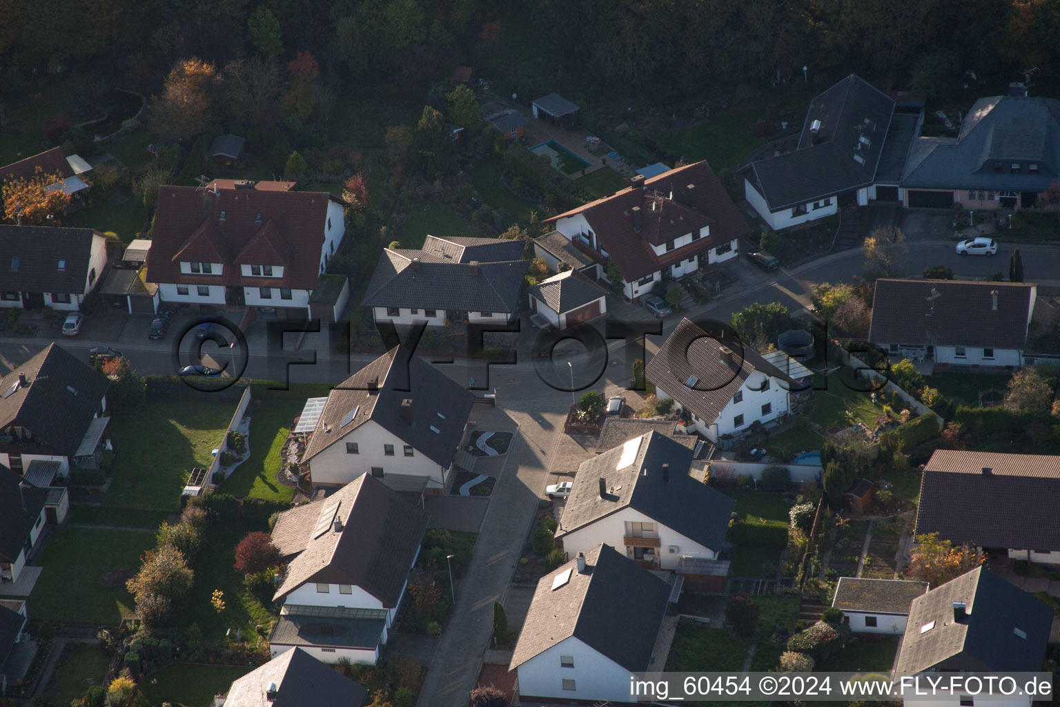 Bird's eye view of S in Rülzheim in the state Rhineland-Palatinate, Germany