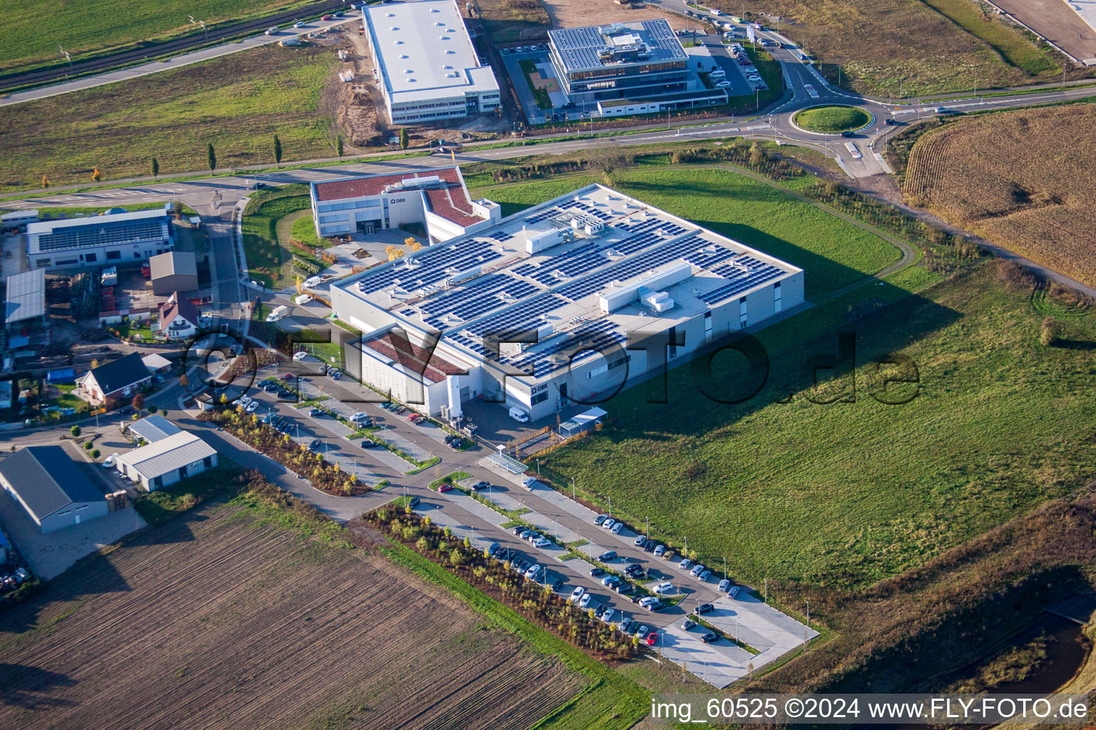 N, industrial area in Rülzheim in the state Rhineland-Palatinate, Germany seen from above