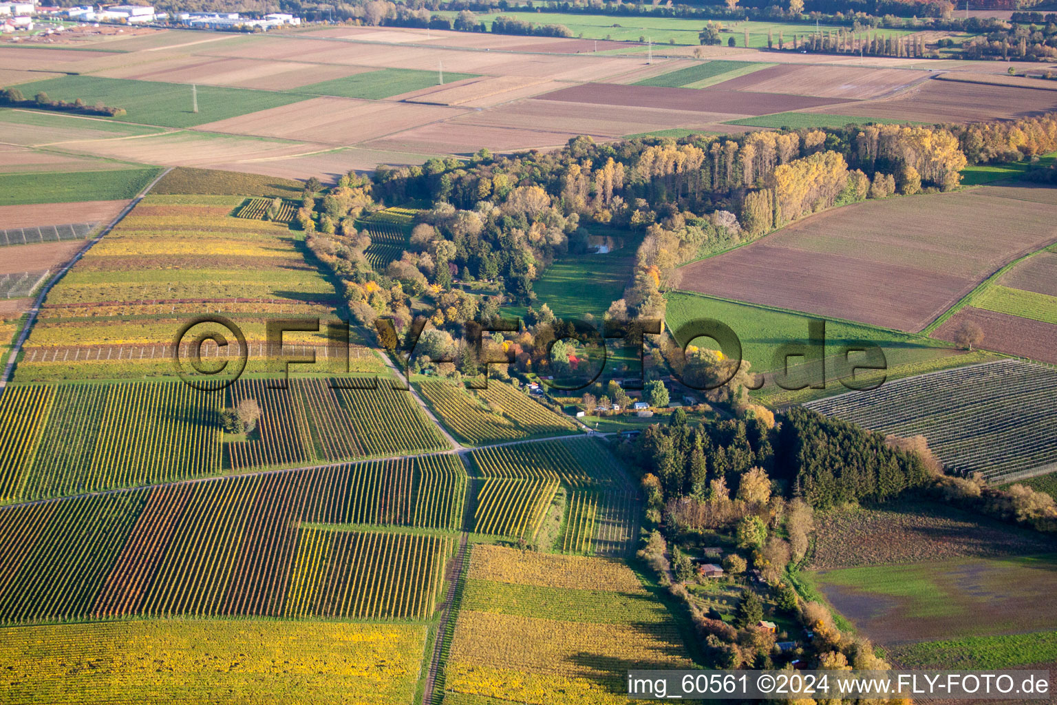 Insheim in the state Rhineland-Palatinate, Germany from the plane