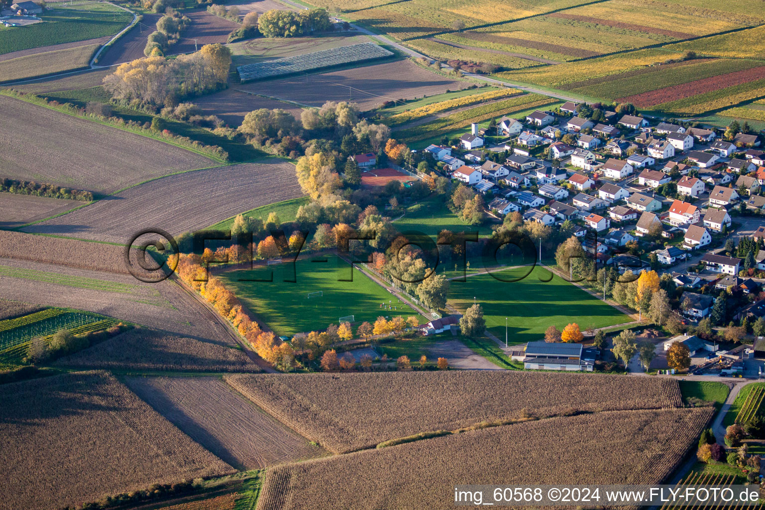 Bird's eye view of Insheim in the state Rhineland-Palatinate, Germany