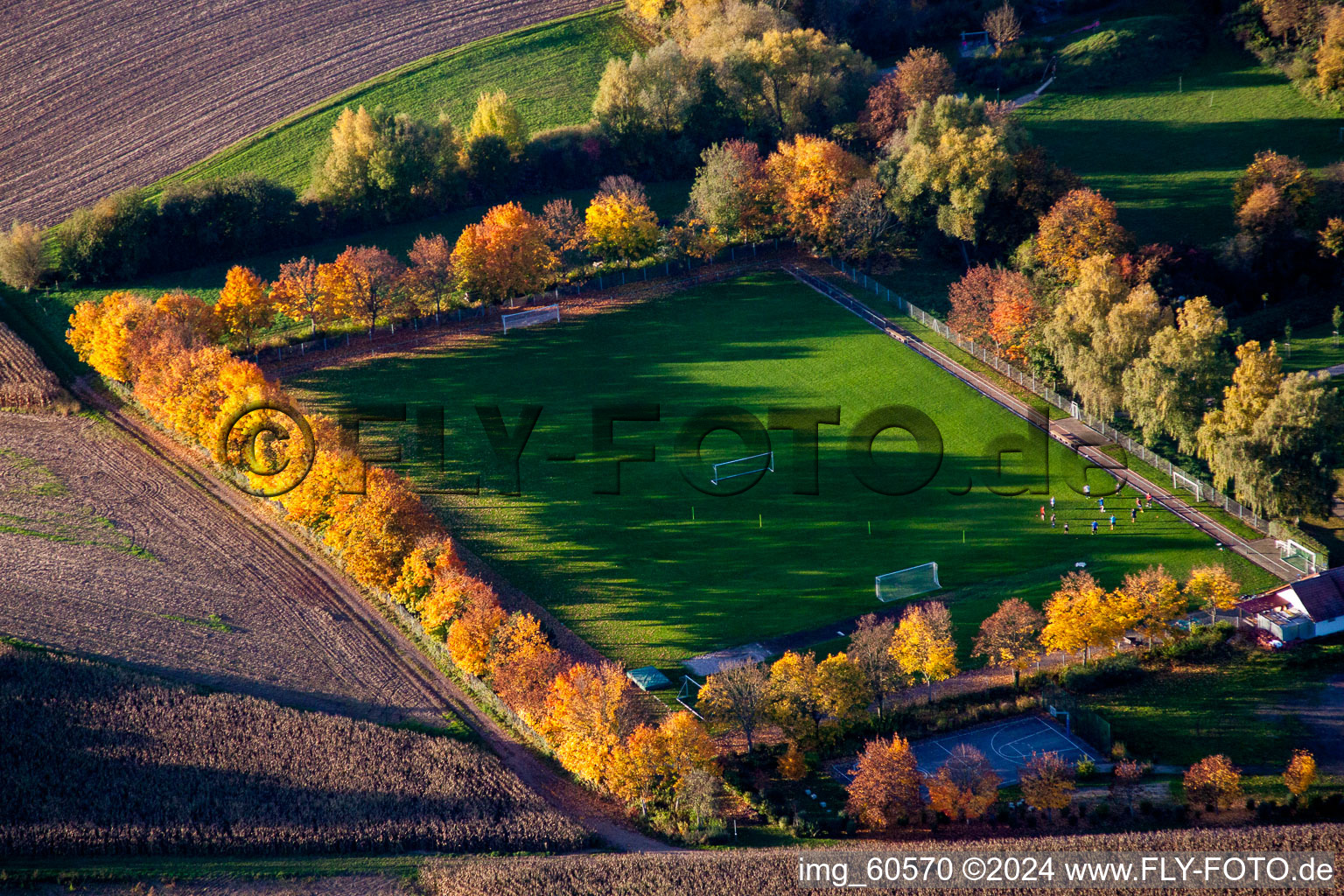 Drone recording of Insheim in the state Rhineland-Palatinate, Germany