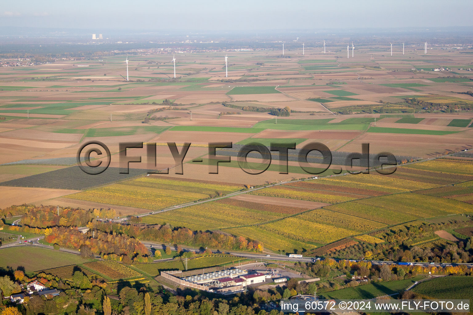 Insheim in the state Rhineland-Palatinate, Germany from the drone perspective