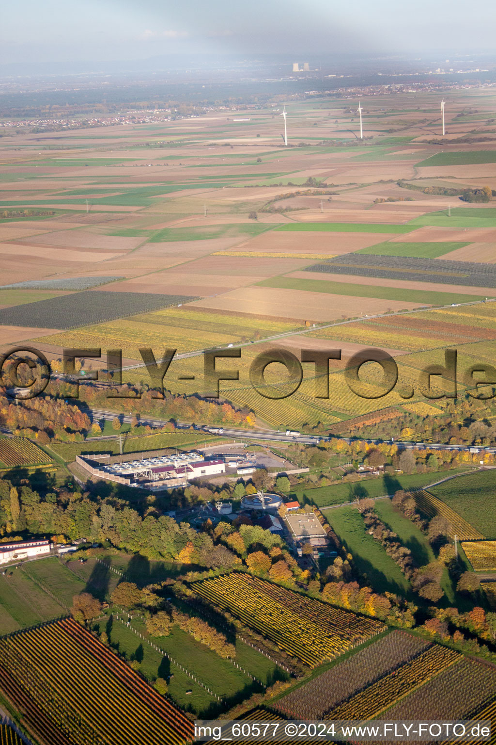 Insheim in the state Rhineland-Palatinate, Germany from a drone