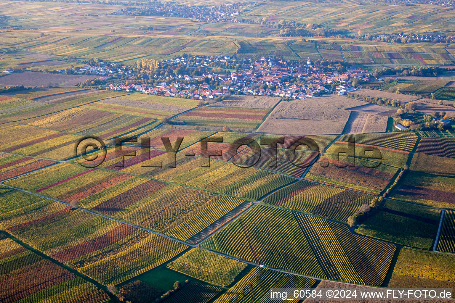 Drone recording of District Mörzheim in Landau in der Pfalz in the state Rhineland-Palatinate, Germany