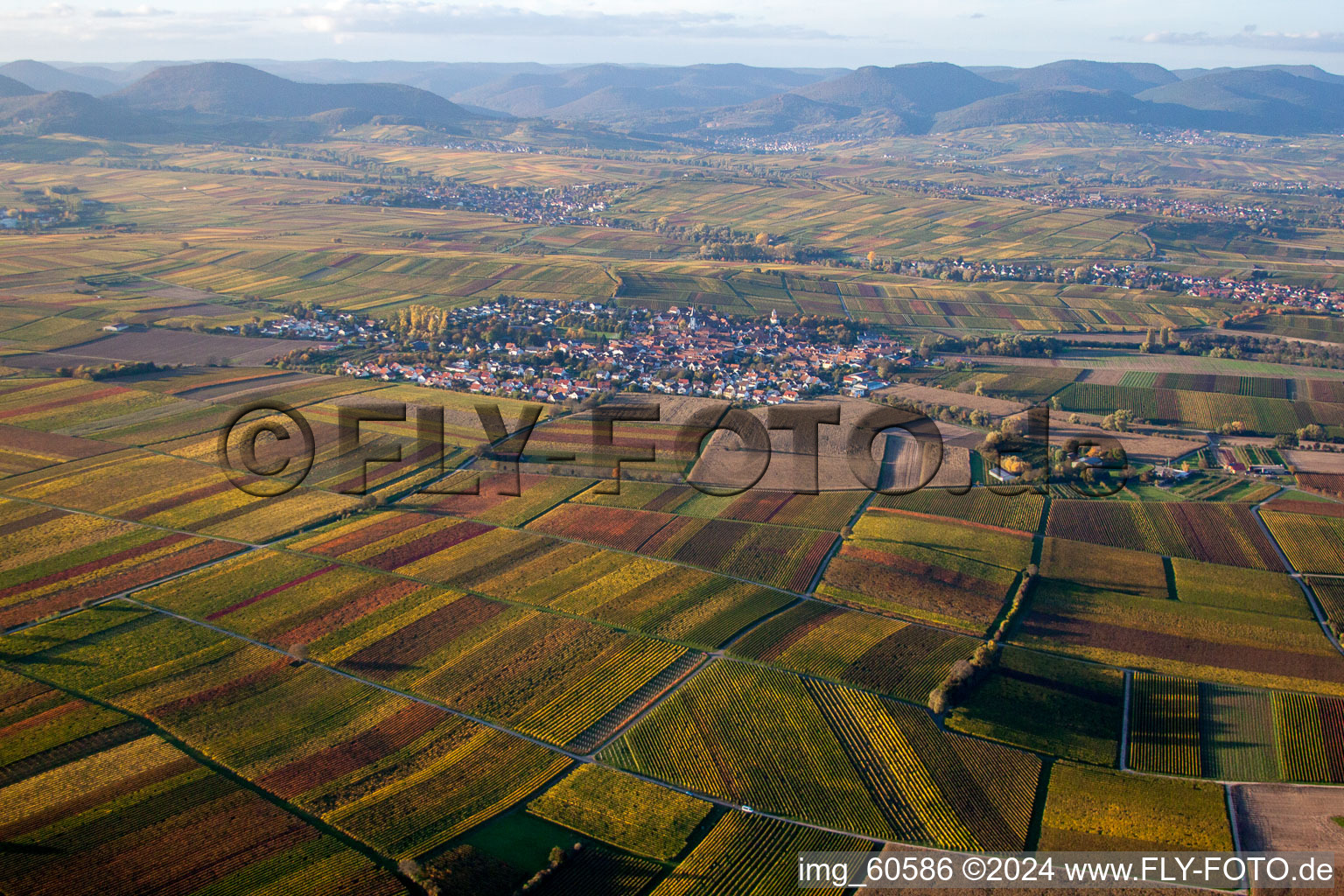 Drone image of District Mörzheim in Landau in der Pfalz in the state Rhineland-Palatinate, Germany