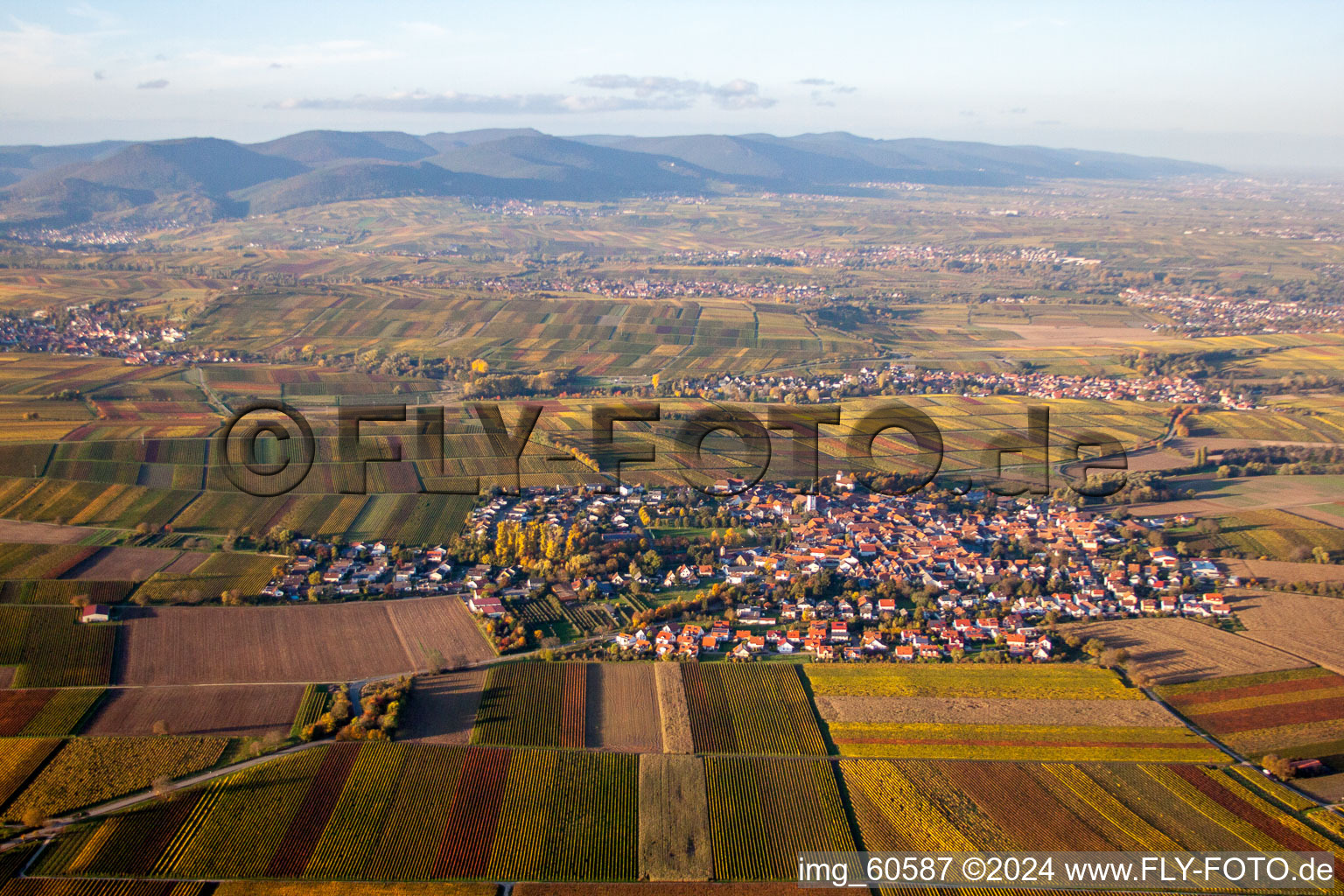 District Mörzheim in Landau in der Pfalz in the state Rhineland-Palatinate, Germany from the drone perspective