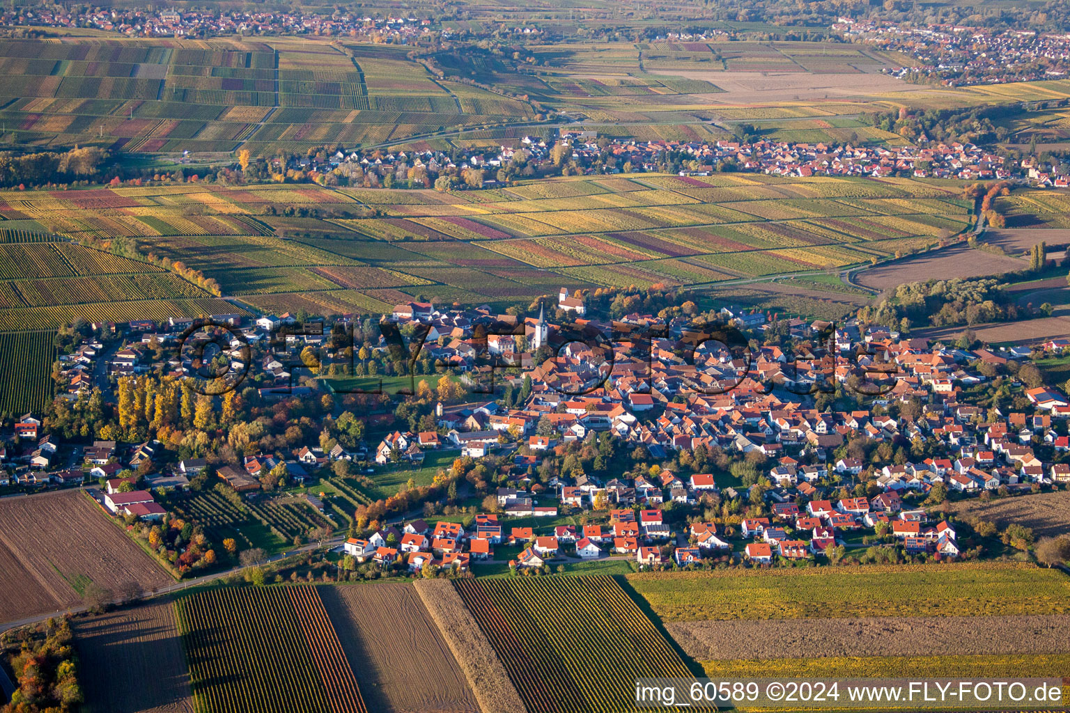 District Mörzheim in Landau in der Pfalz in the state Rhineland-Palatinate, Germany from a drone