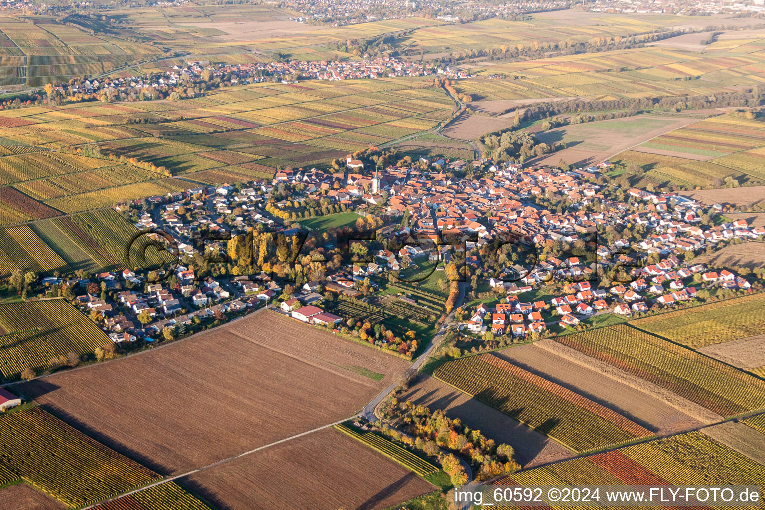 Oblique view of Village view in the district Mörzheim in Landau in der Pfalz in the state Rhineland-Palatinate, Germany