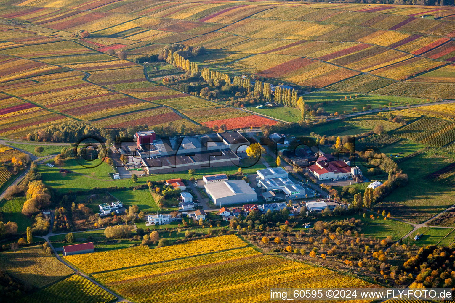 Small Kalmit in Ilbesheim bei Landau in der Pfalz in the state Rhineland-Palatinate, Germany from the plane