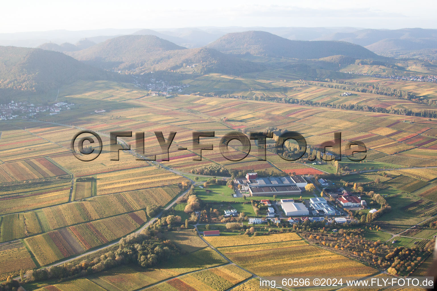 Bird's eye view of Small Kalmit in Ilbesheim bei Landau in der Pfalz in the state Rhineland-Palatinate, Germany