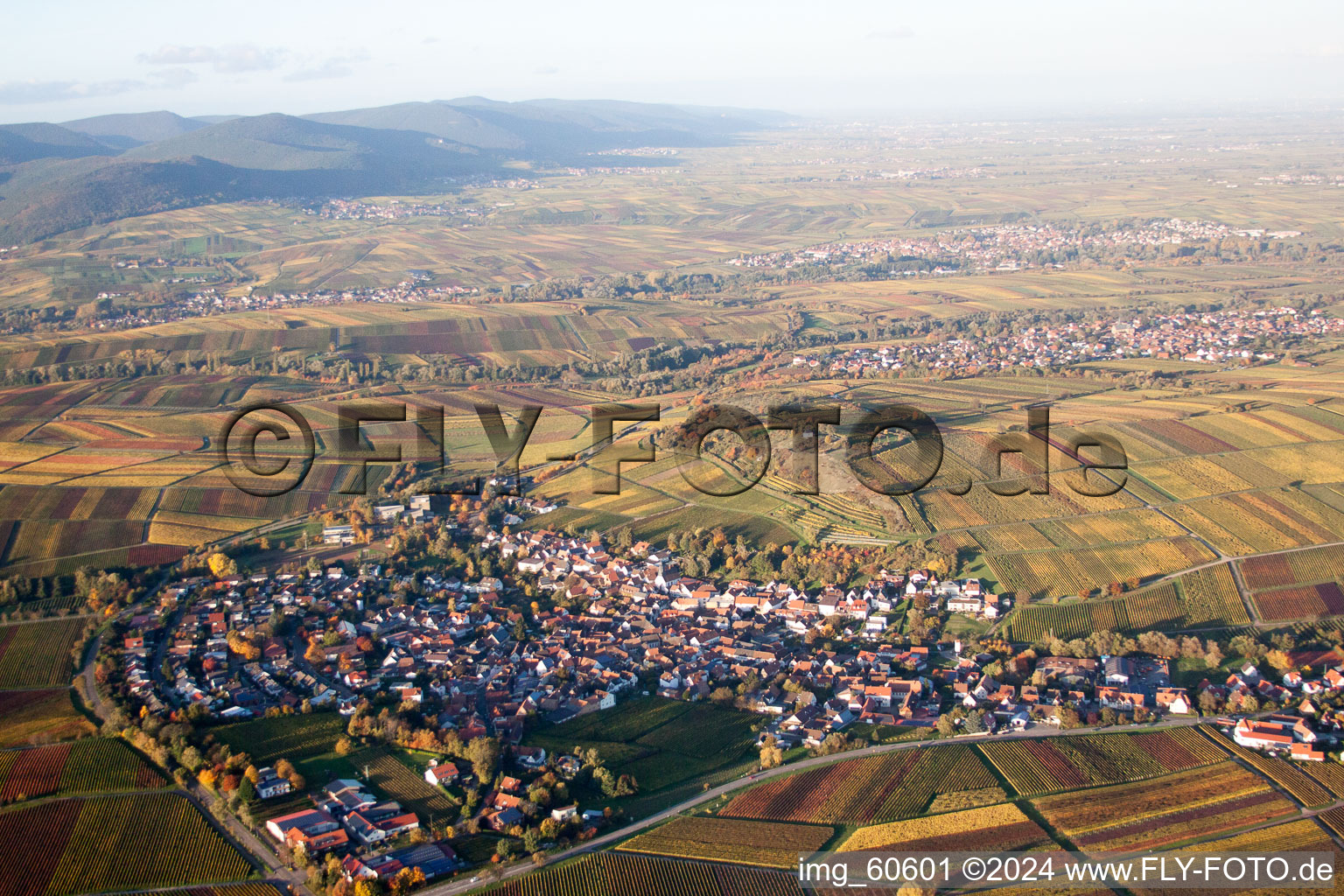 Drone recording of Small Kalmit in Ilbesheim bei Landau in der Pfalz in the state Rhineland-Palatinate, Germany