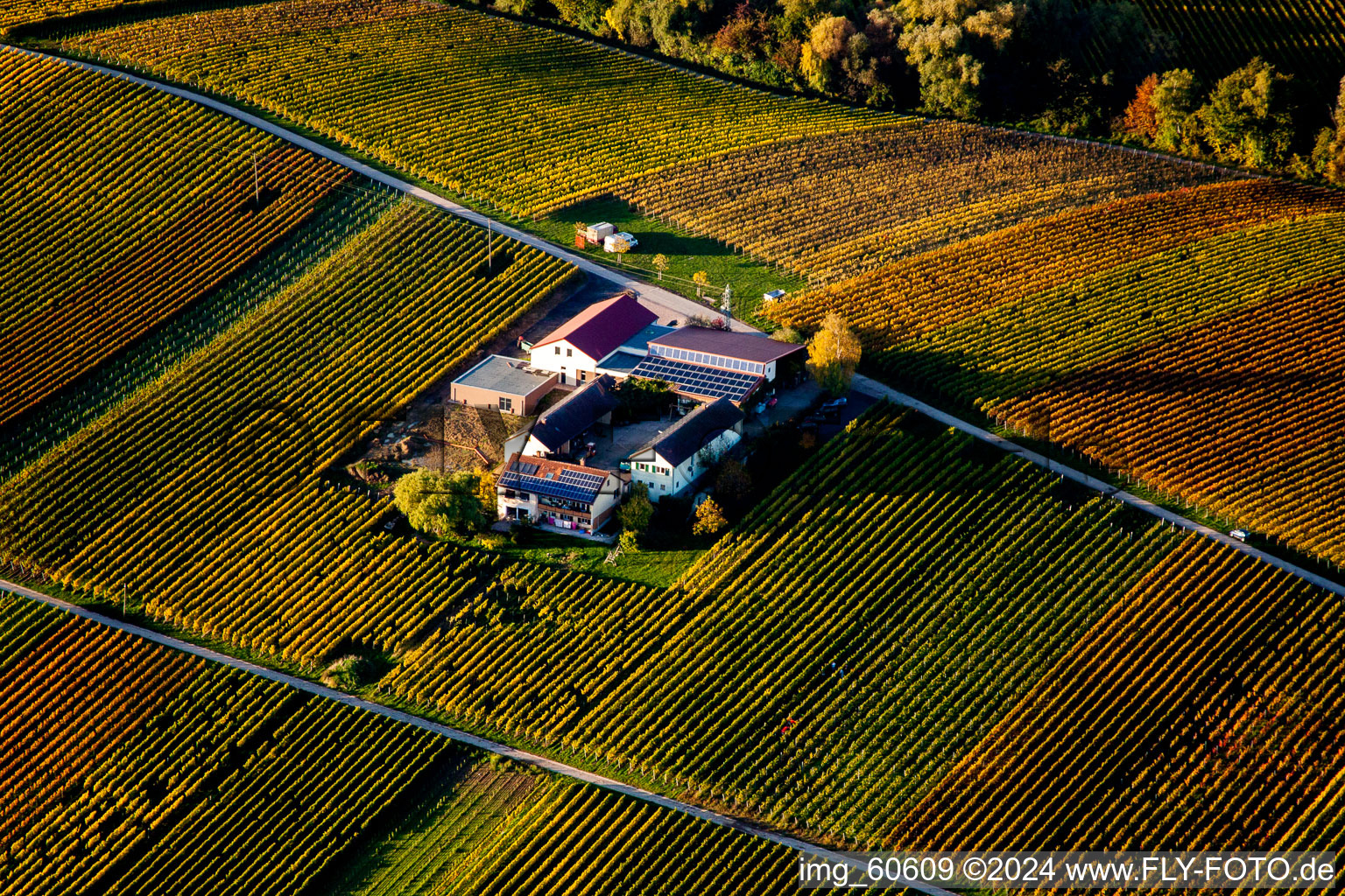 Aerial view of Wacholderstrasse 2 in Leinsweiler in the state Rhineland-Palatinate, Germany