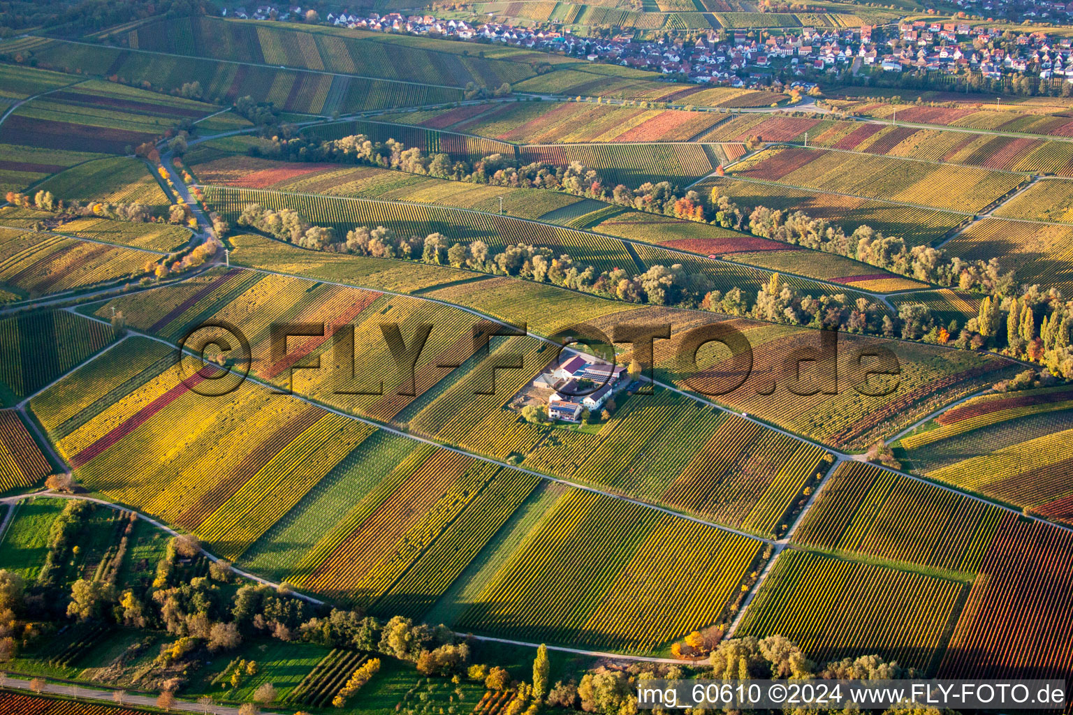 Aerial photograpy of Wacholderstrasse 2 in Leinsweiler in the state Rhineland-Palatinate, Germany