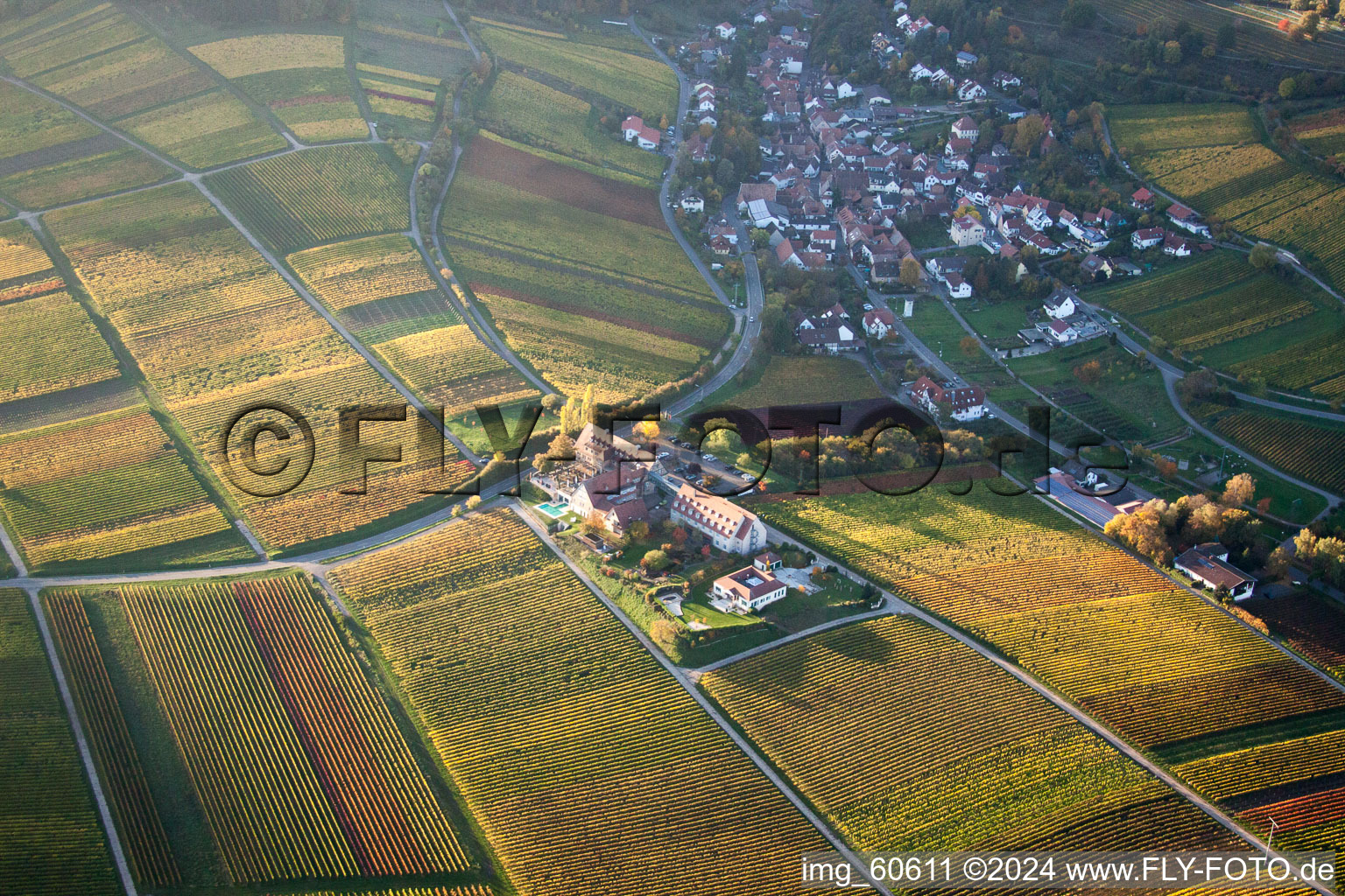 Leinsweiler yard in Leinsweiler in the state Rhineland-Palatinate, Germany out of the air